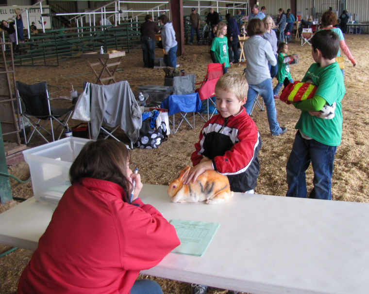 Rabbit Extravaganza in Gatesville